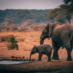 Botswana