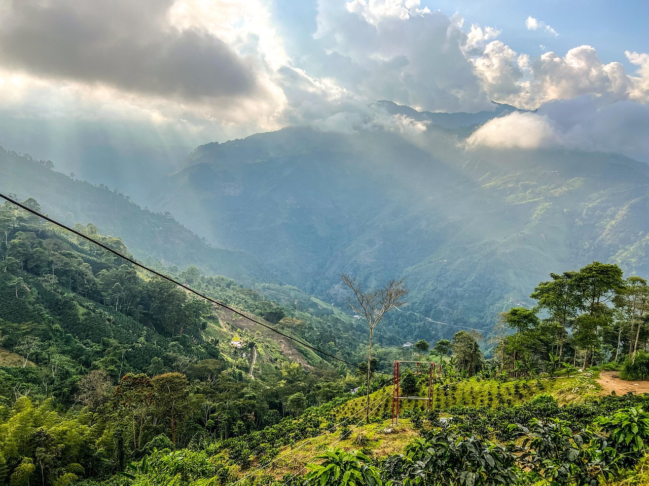 Colombie